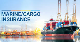 CARGO INSURANCE IN DELIVERY BY SEA