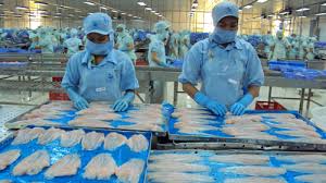 EXPORTING FROZEN PANGASIUS FROM VIETNAM TO MEXICO