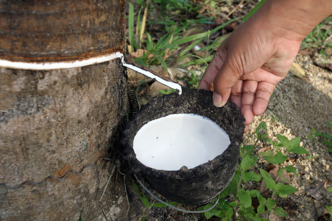 Exporting rubber from Vietnam to EU