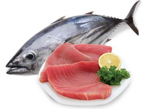 Exporting tuna from Vietnam to USA