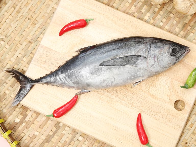 Exporting tuna from Vietnam to EU